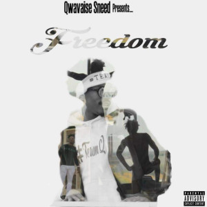 Listen to Vibes (Explicit) song with lyrics from Qwavais'e Sneed
