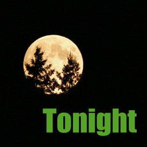 ดาวน์โหลดและฟังเพลง Tonight พร้อมเนื้อเพลงจาก Bassey, Shirley