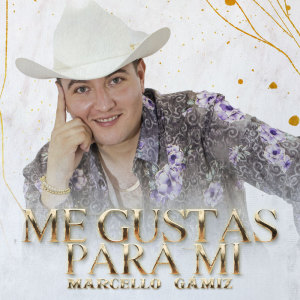 Marcello Gámiz的专辑Me Gustas Para Mi