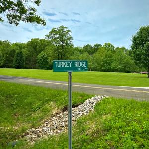 收聽Landgoat的Did You Mean Forever (feat. BEEE) (Explicit)歌詞歌曲