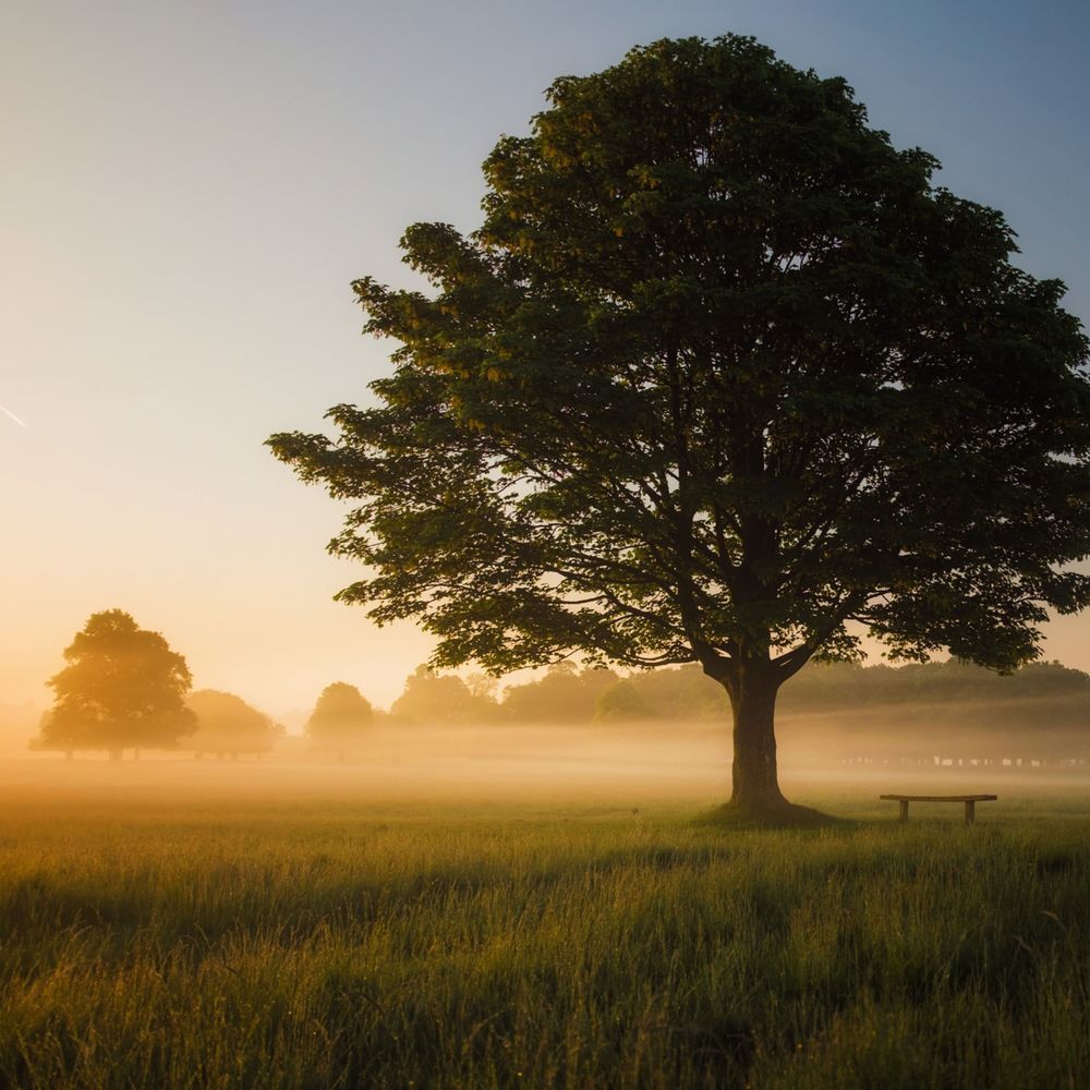 A Calm Day