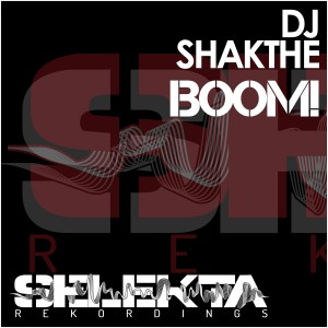 Listen to Bacardi song with lyrics from DJ ShakThe