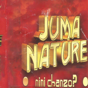 ดาวน์โหลดและฟังเพลง Tumepigika พร้อมเนื้อเพลงจาก Juma Nature
