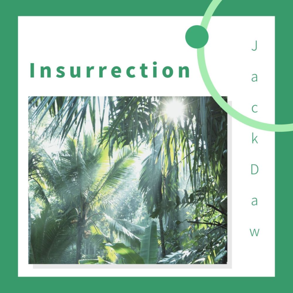 Insurrection