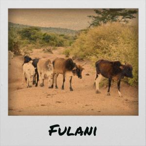 Dengarkan lagu Fulani nyanyian Jaer Kanar dengan lirik