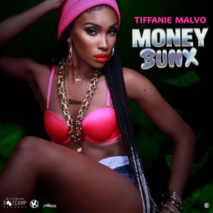 收聽Tiffanie Malvo的Money Bunx歌詞歌曲