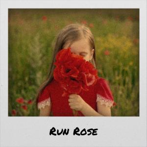Various Artist的专辑Run Rose