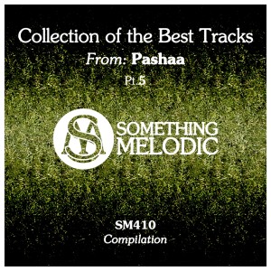 Pashaa的專輯Collection of the Best Tracks From: Pashaa, Pt. 5