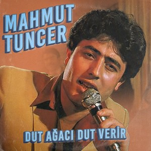 Mahmut Tuncer的专辑Dut Ağacı Dut Verir