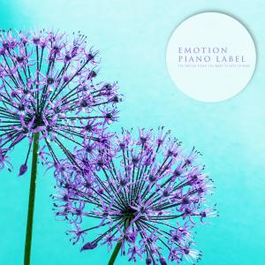 Album The Emtion Piano You Want To Keep In Mind from Korea Various Artists