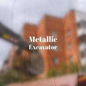 Album Metallic Excavator from Various