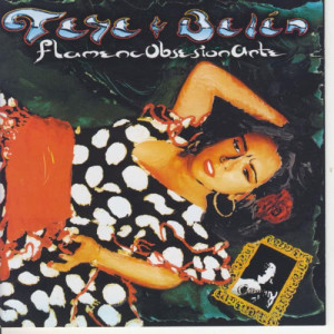 ดาวน์โหลดและฟังเพลง FlamencO-bsesionarte พร้อมเนื้อเพลงจาก Teye & Belen