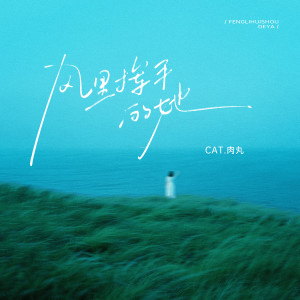 Album 风里挥手的她 from CAT.肉丸