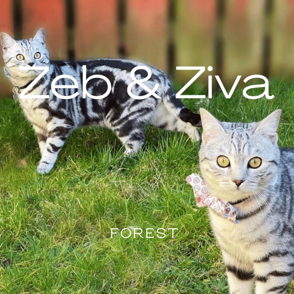 Zeb & Ziva
