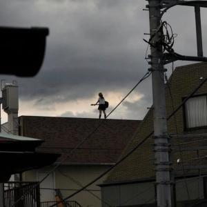 收聽PAPS999的VIP (Explicit)歌詞歌曲