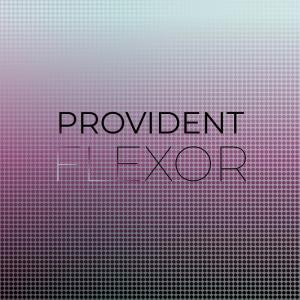 Various的专辑Provident Flexor