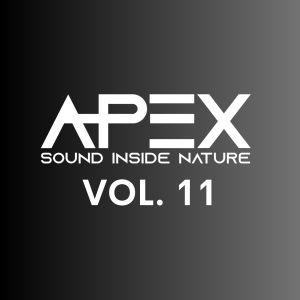 Apex Sound Inside Nature, Vol. 11 dari Apex Sound Inside Nature