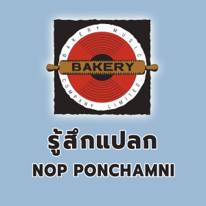 ดาวน์โหลดและฟังเพลง รู้สึกแปลก พร้อมเนื้อเพลงจาก นภ พรชำนิ