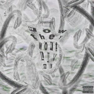 Listen to Now They Won't Luv Me (Explicit) song with lyrics from Ozzy Wacko