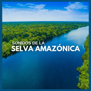 Sonidos de la selva的專輯Sonidos de la Selva Amazónica