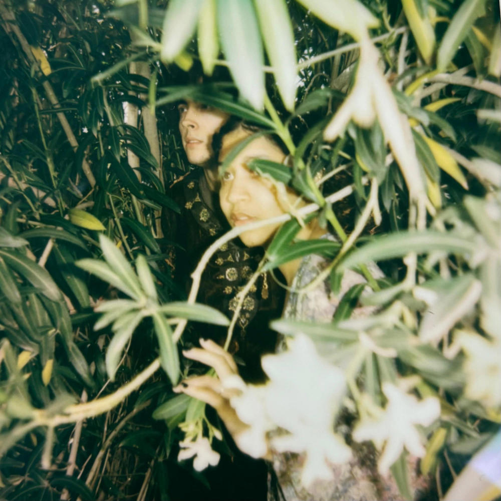 Hollow