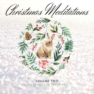 Listen to Good Christian Men Rejoice song with lyrics from Northern Aires