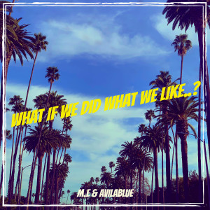 M.E的专辑What If We Did What We Like..? (Explicit)