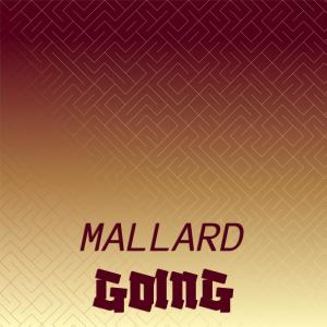 Listen to Mallard Going song with lyrics from Johny Budi