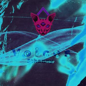 Album Voices from 5thanny