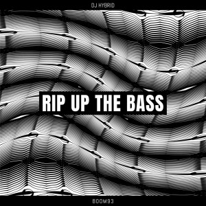 DJ Hybrid的專輯Rip Up The Bass