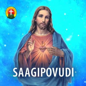 Album Saagipovudi from Various