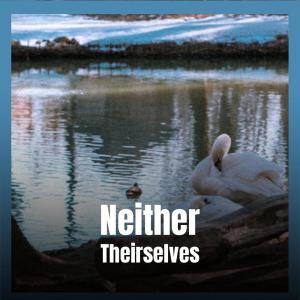Album Neither Theirselves from Various