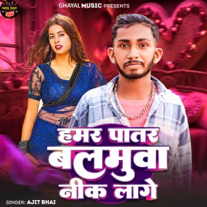 Album HAMR PATAR BALAMUWA NIK LAGE from 