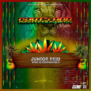 ดาวน์โหลดและฟังเพลง Who Is Responsible พร้อมเนื้อเพลงจาก Junior Reid