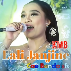 Listen to Lali Janjine song with lyrics from KMB