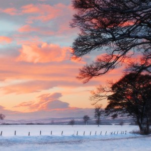 收听lil creyzi的Холод歌词歌曲