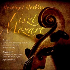 Pro Musica Symphony Orchestra的專輯Vasary and Haebler Play Liszt and Mozart