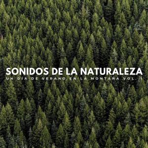 Album Sonidos De La Naturaleza: Un Día De Verano En La Montaña Vol. 1 oleh Música de relajación profunda