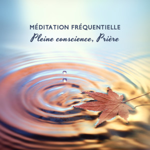 收聽Bouddha Musique Sanctuaire的285 Hz Méditation celtique歌詞歌曲
