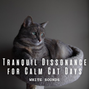 Album White Noise: Tranquil Dissonance for Calm Cat Days oleh Official White Noise Collection