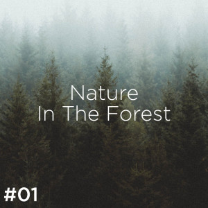 Nature Sounds Nature Music的专辑#01 Nature Sounds In The Forest