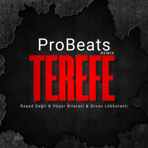 Album Terefe (Remix) from ProBeats