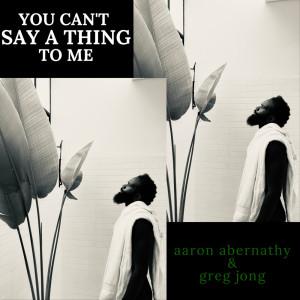 Listen to You Can't Say a Thing to Me song with lyrics from Aaron Abernathy
