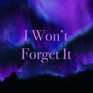 Album I Won't Forget It (Explicit) oleh Various Artists