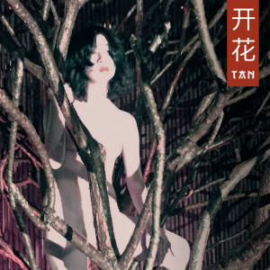 收聽Tan的Blossom歌詞歌曲