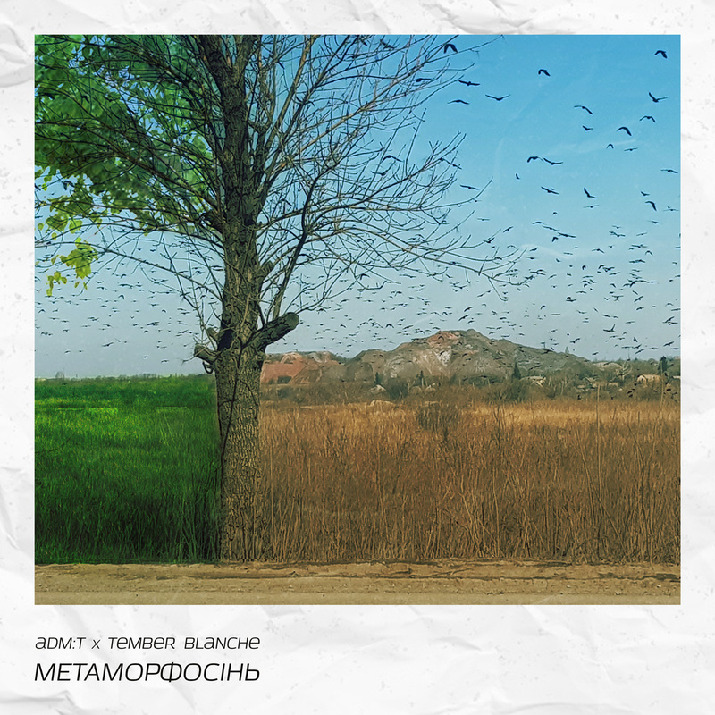 метаморфосінь (acoustic)