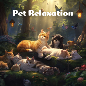 Pet Relaxation