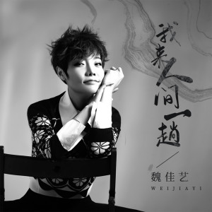收听魏佳艺的我来人间一趟 (DJ version)歌词歌曲