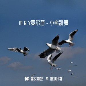 Listen to 小熊跳舞 song with lyrics from M.R.Y麦尔彦