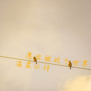 收聽何文宇的願你被這個世界溫柔以待歌詞歌曲